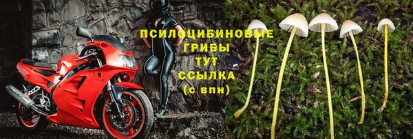 прущая мука Горняк