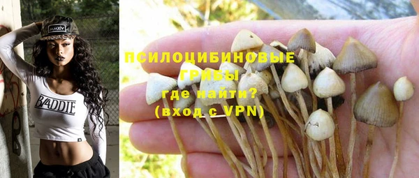 MDMA Premium VHQ Горнозаводск