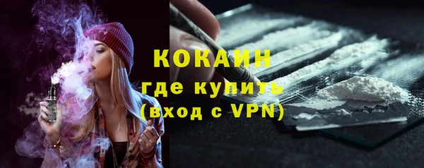прущая мука Горняк