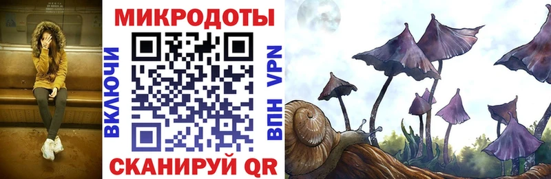 Псилоцибиновые грибы GOLDEN TEACHER  Тамбов 