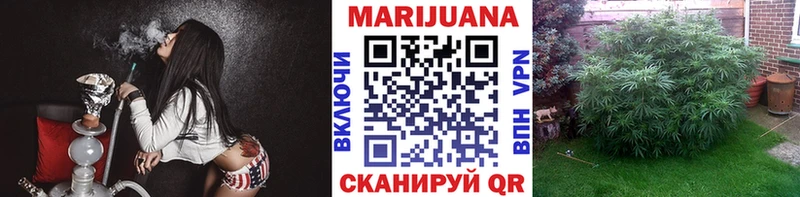 Бошки марихуана LSD WEED  продажа наркотиков  darknet клад  Тамбов 